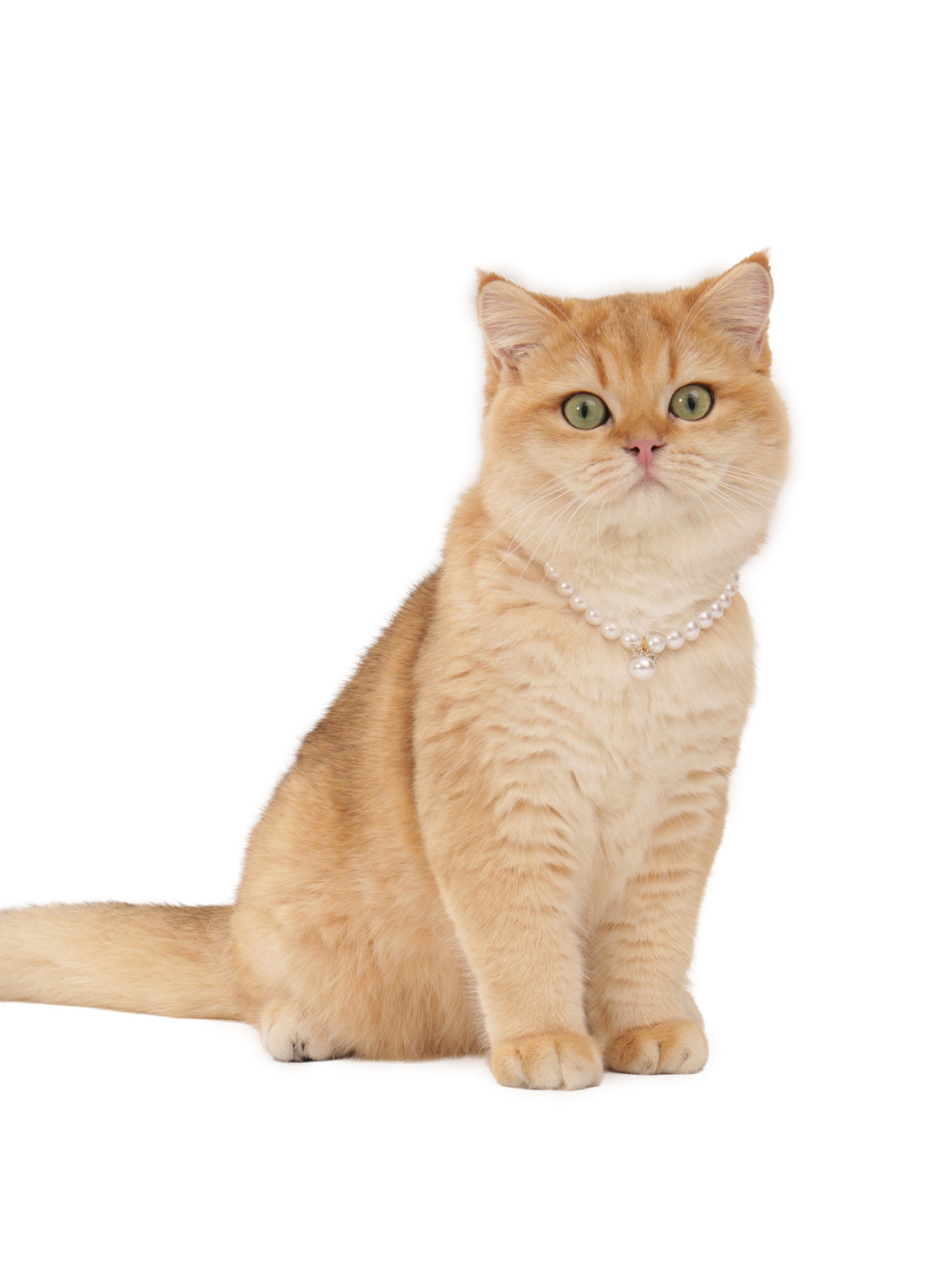 Pearl Necklace for Pet