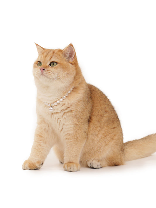 Pearl Necklace for Pet