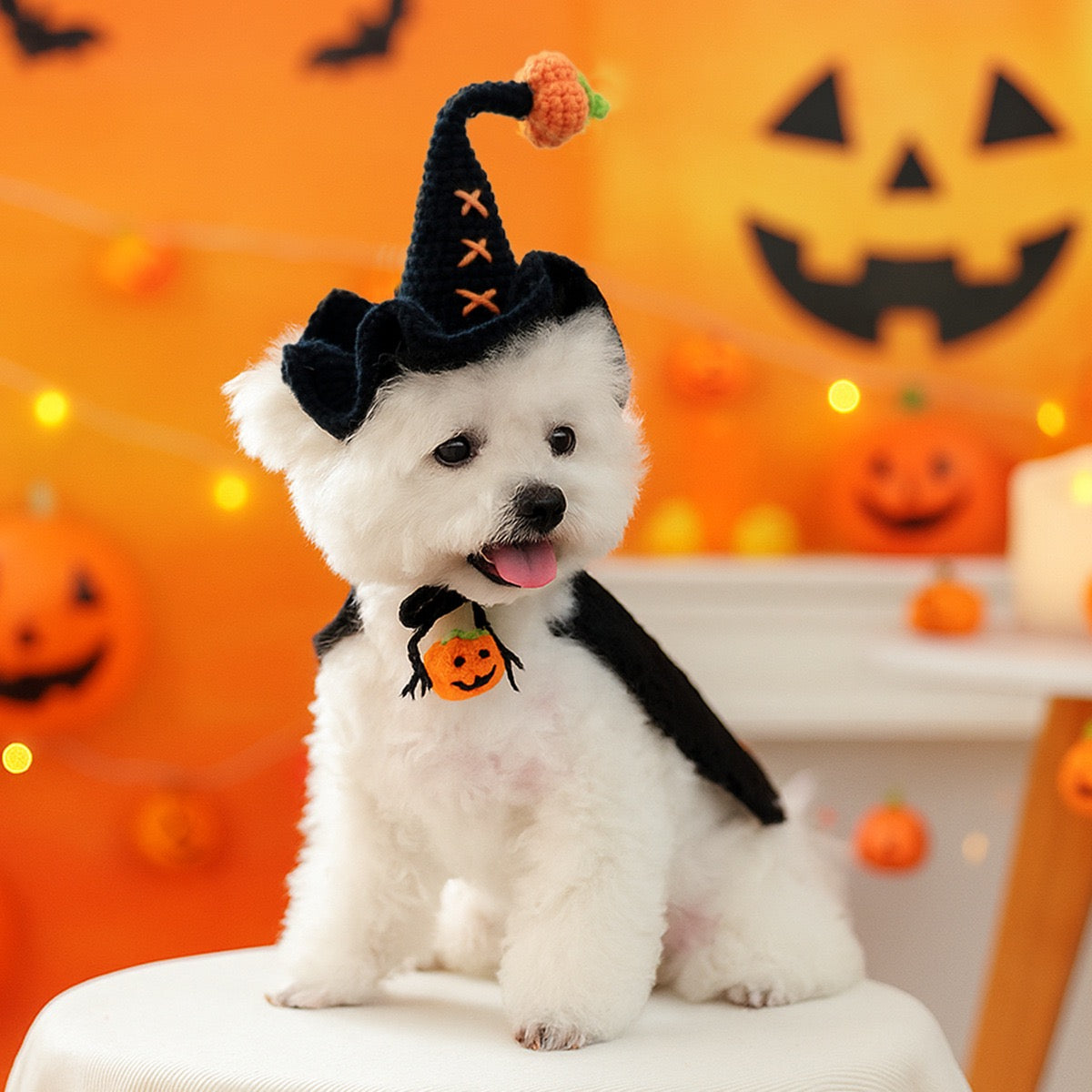 Halloween Knitted Pet Hat
