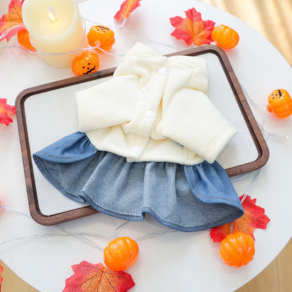 Halloween Pet Costume Bat Sweater