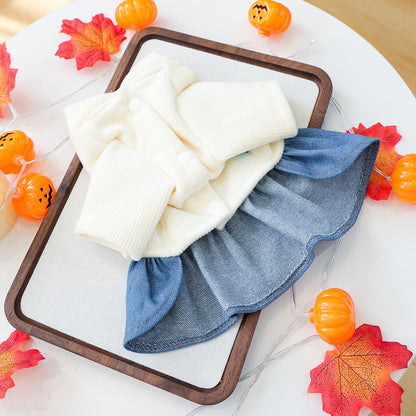 Halloween Pet Costume Bat Sweater