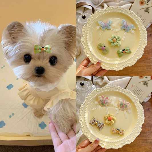 Cute Pet Headwear Set (5 pieces kit)