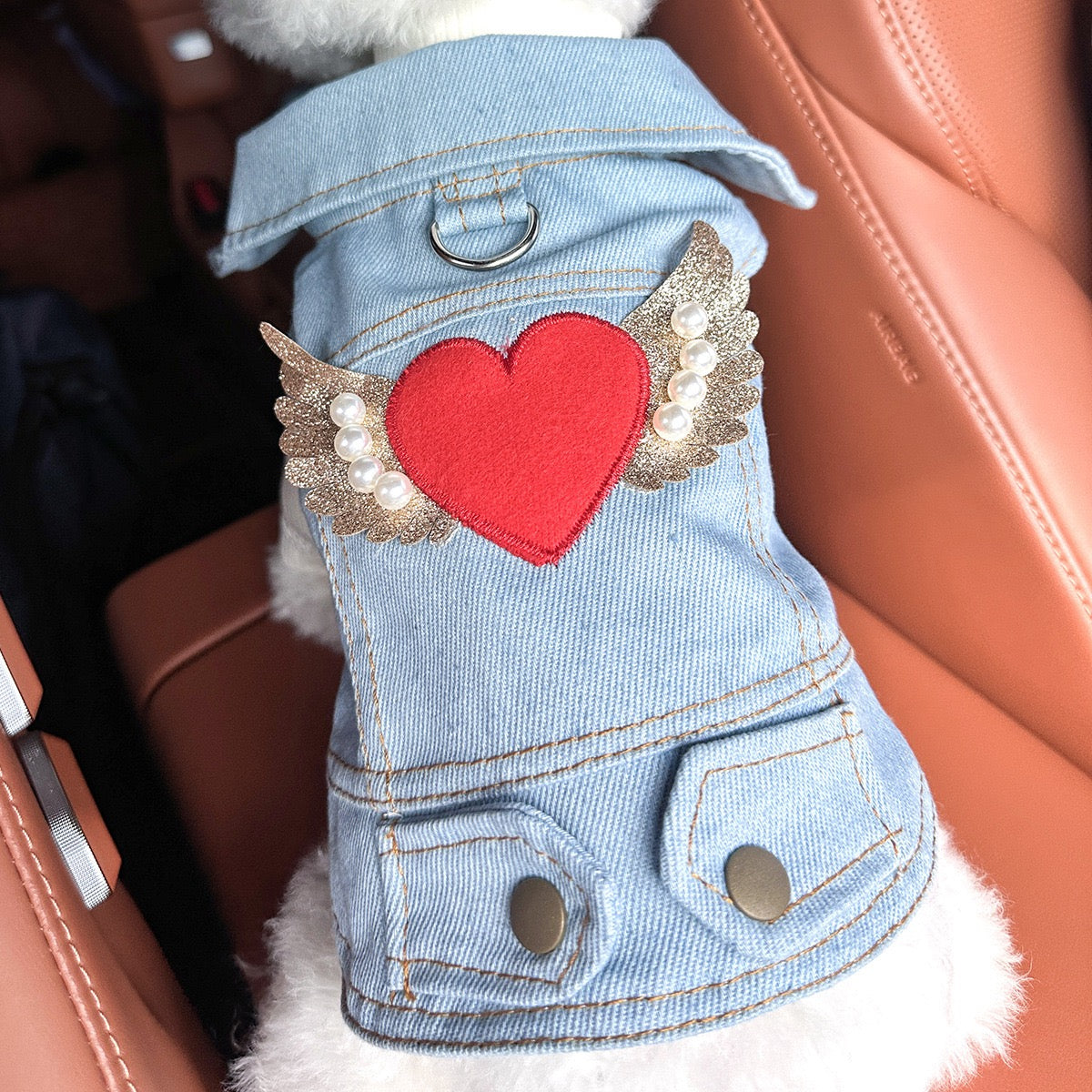 Jean Vest