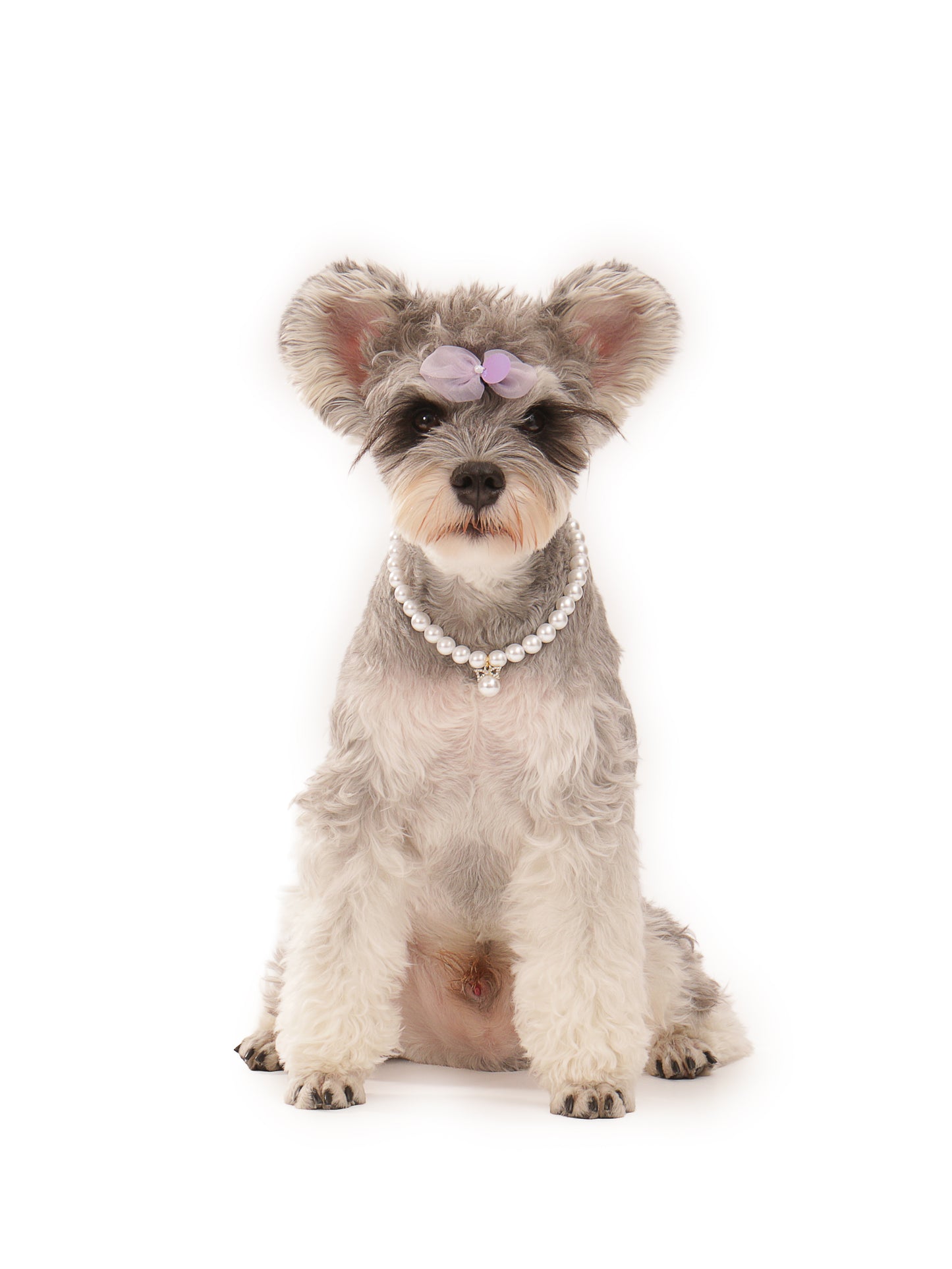 Pearl Necklace for Pet