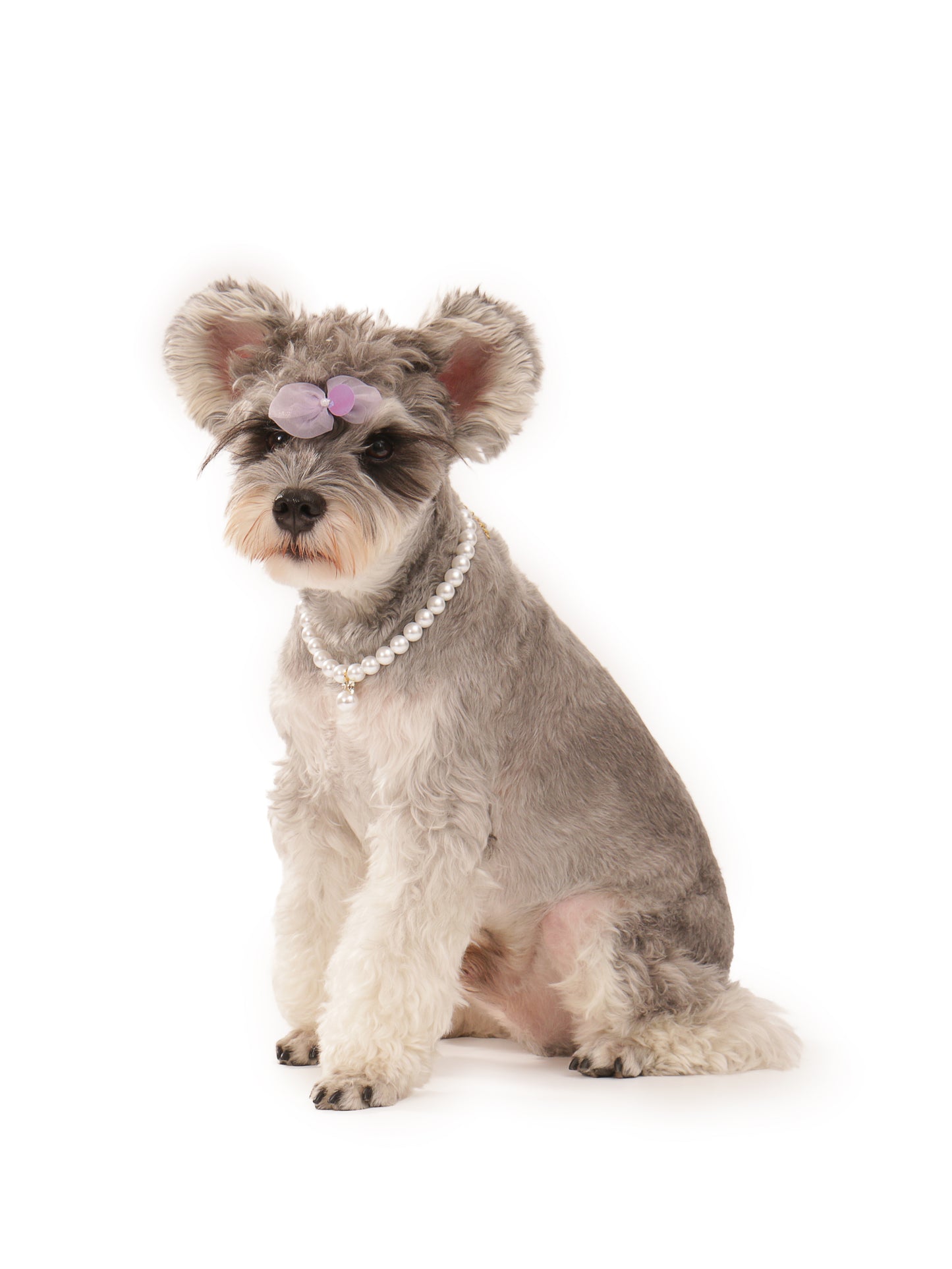 Pearl Necklace for Pet