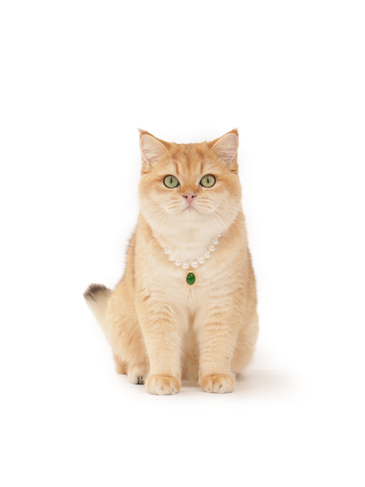 Gemstone Pearl Necklace