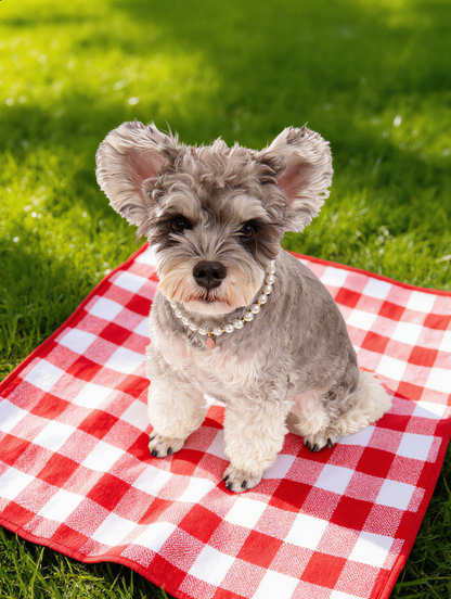 Teardrop Gemstone Pearl Necklace