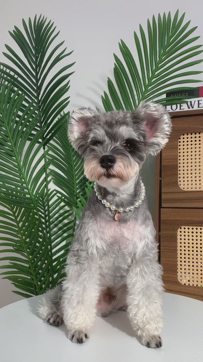 Teardrop Gemstone Pearl Necklace