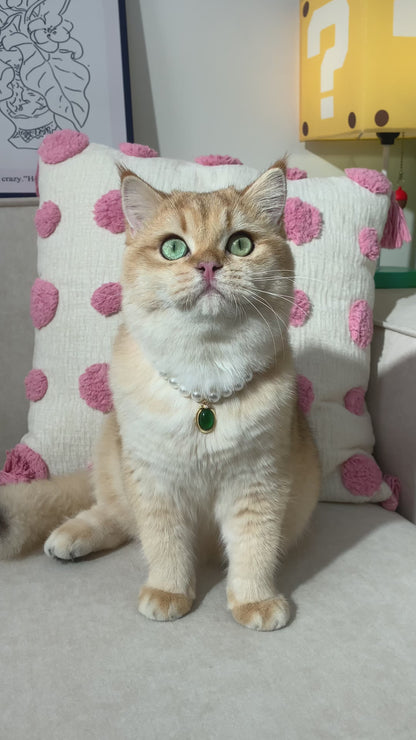 Gemstone Pearl Necklace